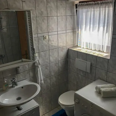 Mijo טרוגיר
